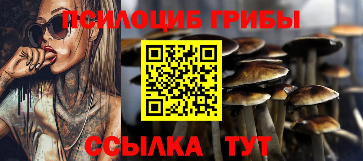 Псилоцибиновые грибы мухоморы  Псилоцибиновые грибы Psilocybine cubensis  закладки  Каменка  Вход с VPN 